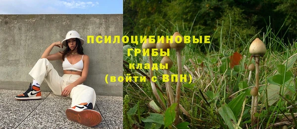 а пвп мука Алзамай
